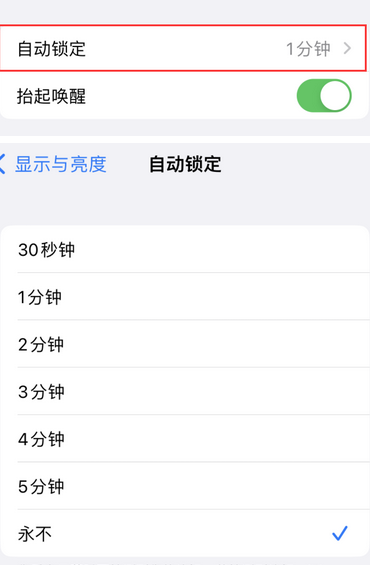 浉河苹果换屏维修分享无法调整iPhone自动锁屏的时间怎么办