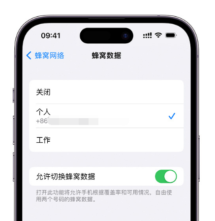 浉河苹果维修服务分享如何在iPhone上使用双卡 